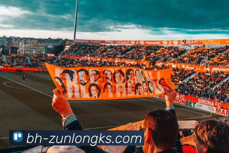 365体育官网平台生态图