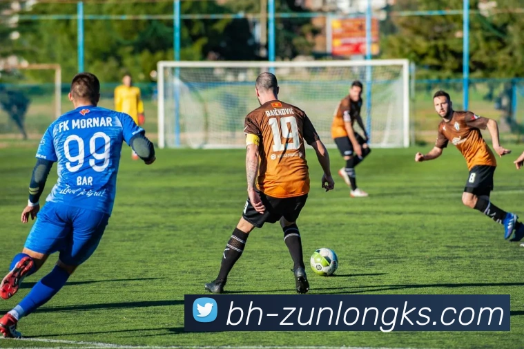 365体育官网APP 封面图